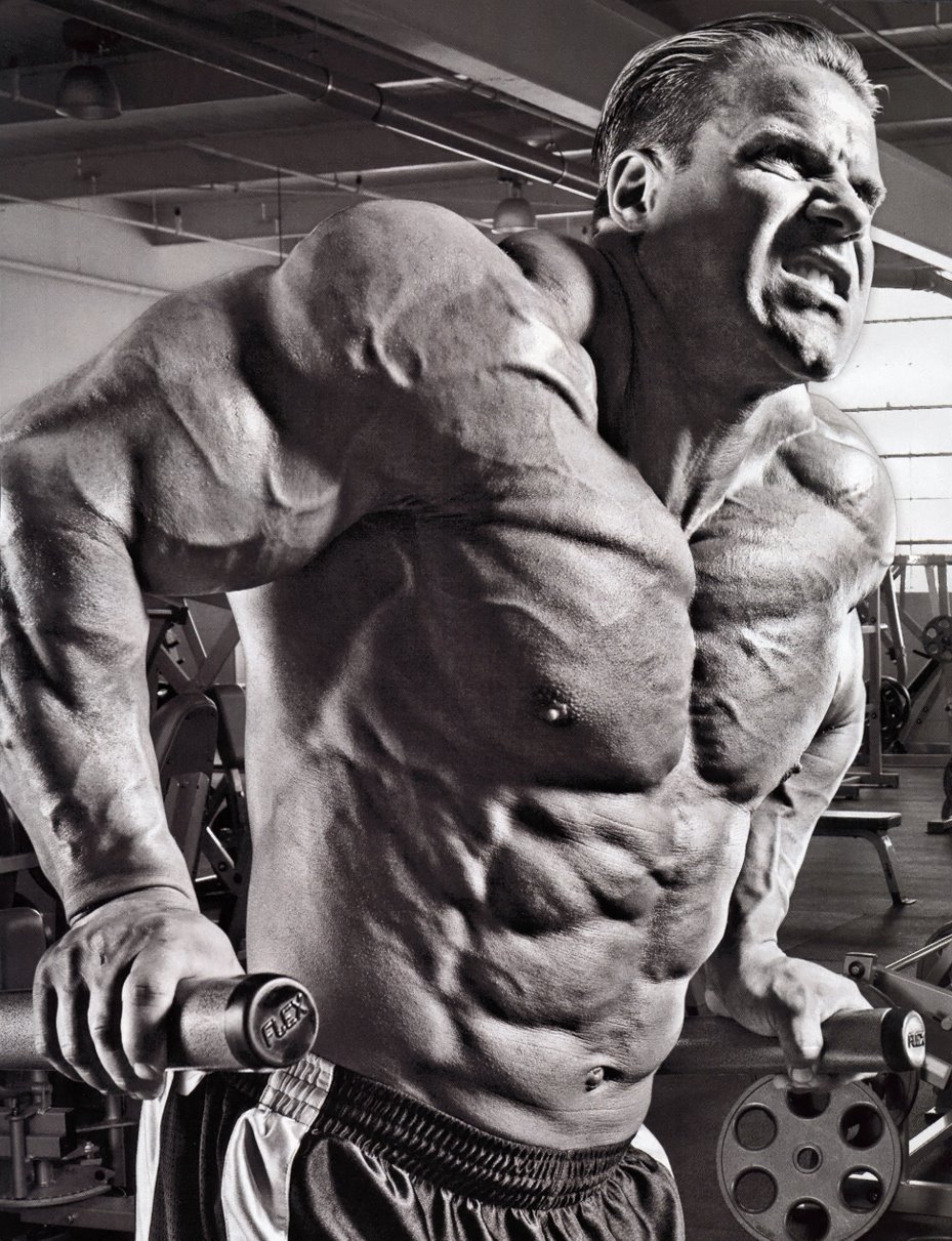 20 Scary Bodybuilding Wallpapers Journal7 Images, Photos, Reviews